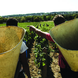 Comment Dijon, certes réputée pour sa moutarde ou sa crème de cassis, a-t-elle réussi à s’imposer comme un porte-étendard de la gastronomie française, alors qu’elle la jouait plutôt petits bras face à Lyon par exemple, qui se remet non sans mal de l’échec de sa cité de la gastronomie ?