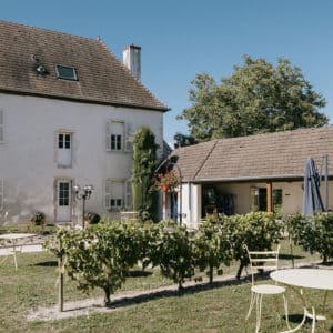Road Trip des Grands Crus : L’Orée des Vignes (3/6)
